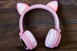 Mobi-Time рекомендує: Bluetooth навушники HOCO W27 Cat Ear Pink