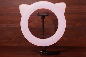 Mobi-Time рекомендує: кільцева світлодіодна лампа "Рожева кішка" (27 см)