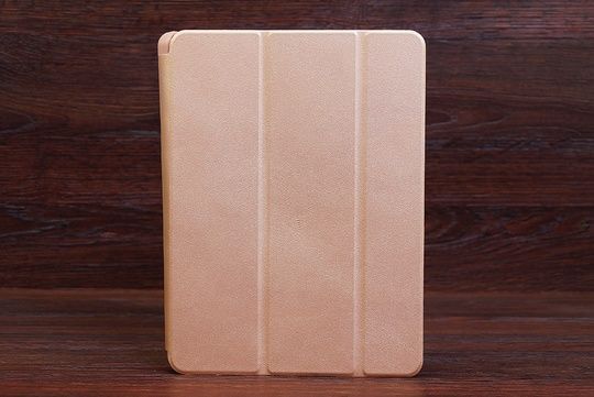 Smart Case (stylus) IPad 10.2" (2019/20/21) Gold