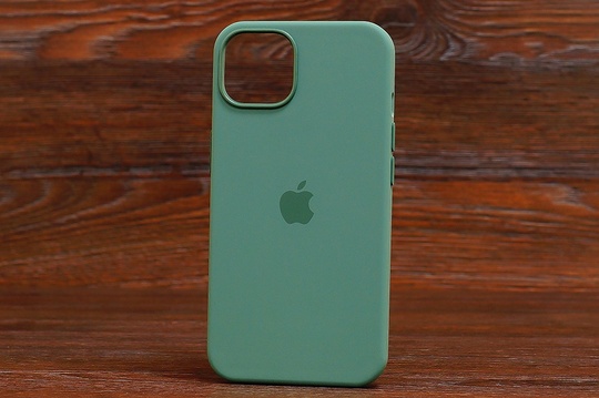 Silicone Case MagSafe iPhone 13 Pine green (55)