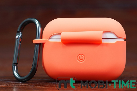 Футляр for AirPods Pro2 Carrying з карабіном flamingo