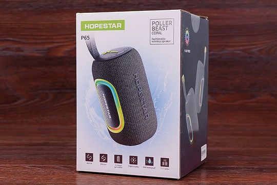 Колонка HOPESTAR P65 (сіра)